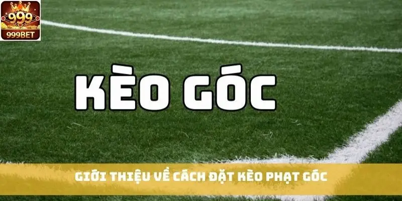 Giới thiệu về cách đặt kèo phạt góc